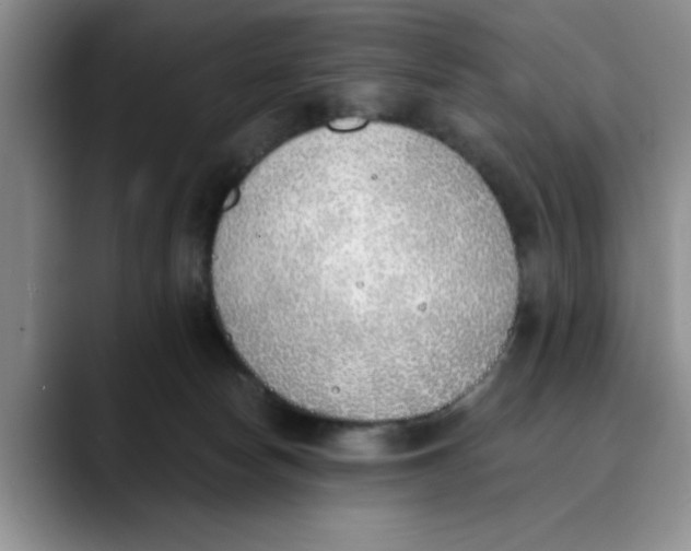 X0000089830178200707191833