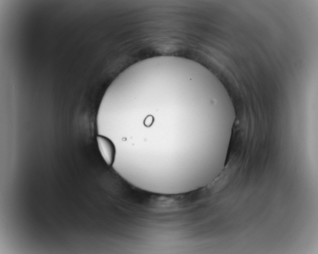 X0000089830180200707191833