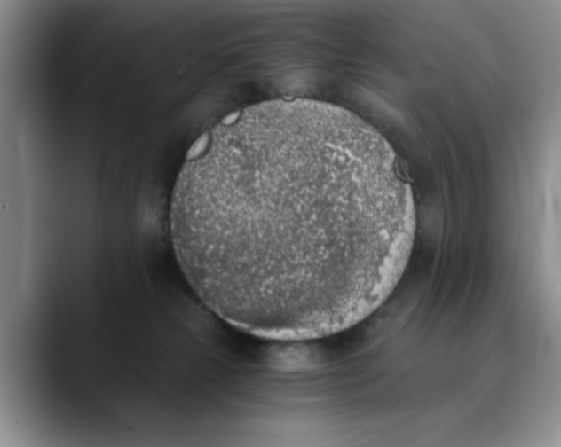 X0000089830181200707191833