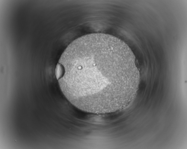 X0000089830182200707191833