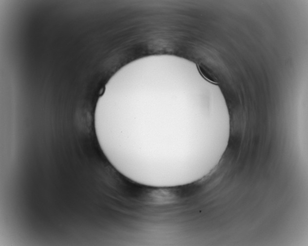 X0000089830183200707191833