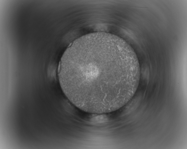 X0000089830185200707191833