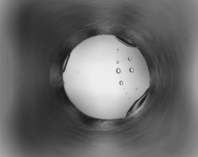 X0000089830186200707191833