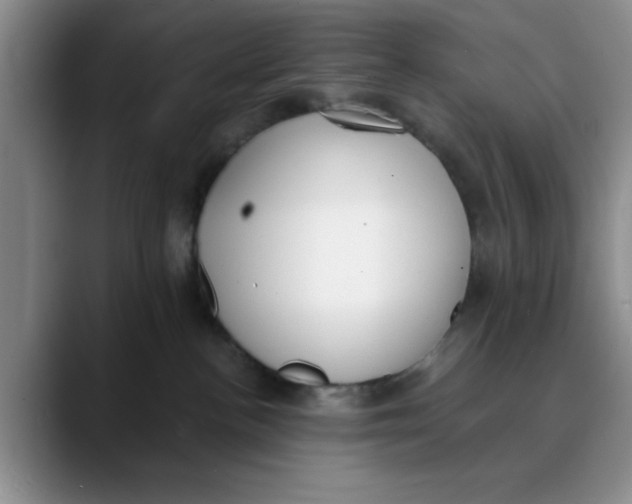 X0000089830188200707191833