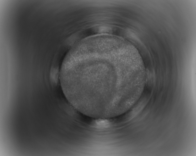 X0000089830189200707191833