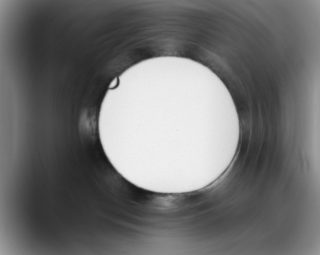 X0000089830190200707191833