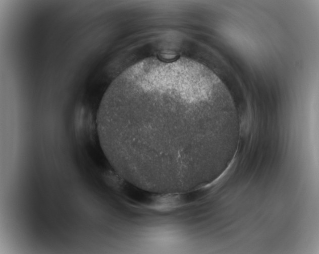 X0000089830191200707191833