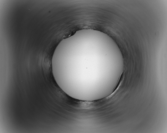 X0000089830192200707191833