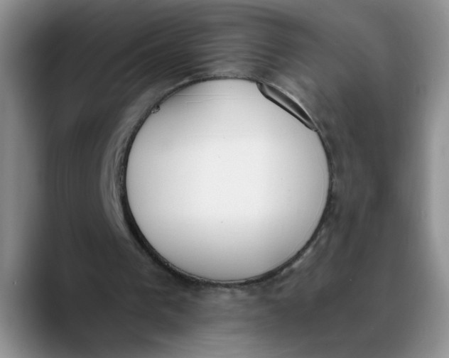 X0000089830193200707191832