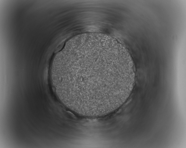 X0000089830194200707191832