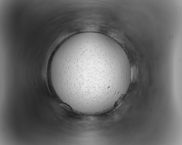 X0000089830195200707191832