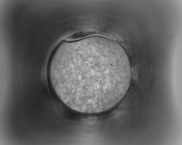 X0000089830196200707191832