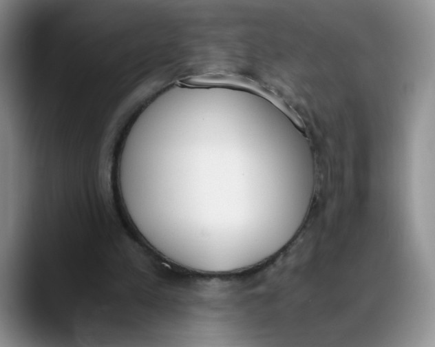 X0000089830197200707191832