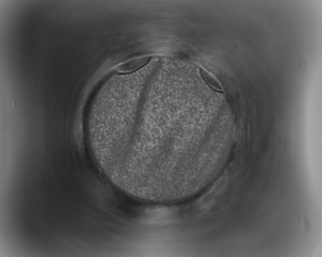 X0000089830198200707191832