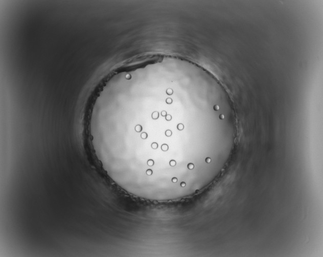 X0000089830199200707191832