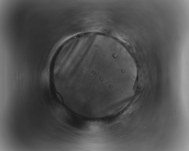 X0000089830200200707191832