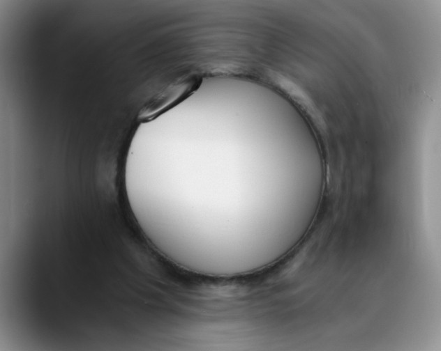 X0000089830201200707191832