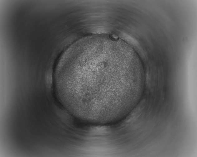 X0000089830202200707191832