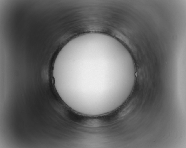 X0000089830203200707191832