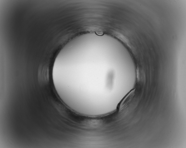 X0000089830205200707191832