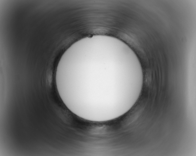 X0000089830206200707191832