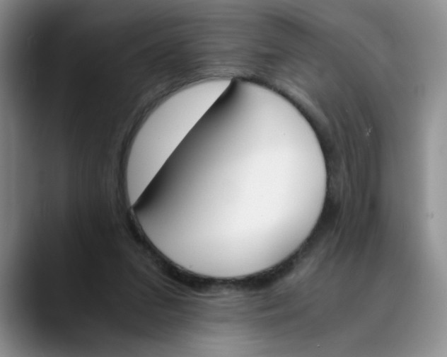 X0000089830207200707191832