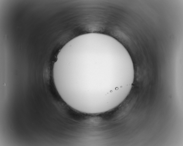 X0000089830210200707191832