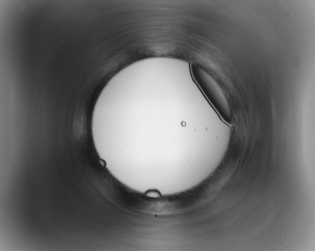 X0000089830212200707191832