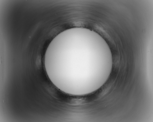 X0000089830213200707191832