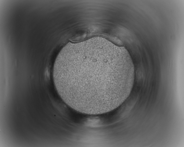 X0000089830214200707191832