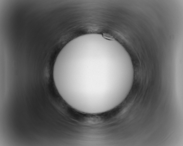 X0000089830215200707191832