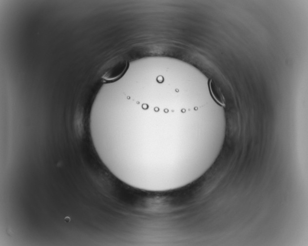 X0000089830216200707191832