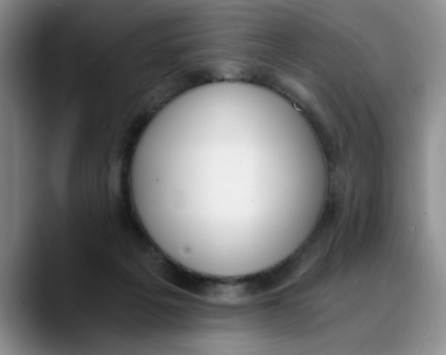 X0000089830217200707191832