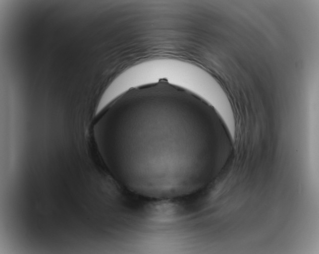 X0000089830219200707191832