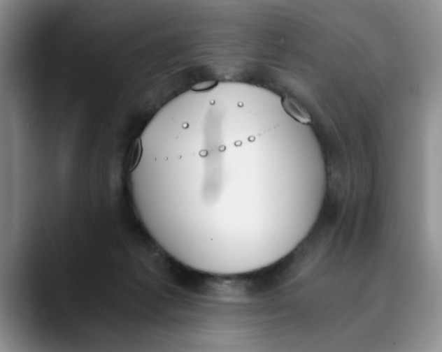 X0000089830221200707191832