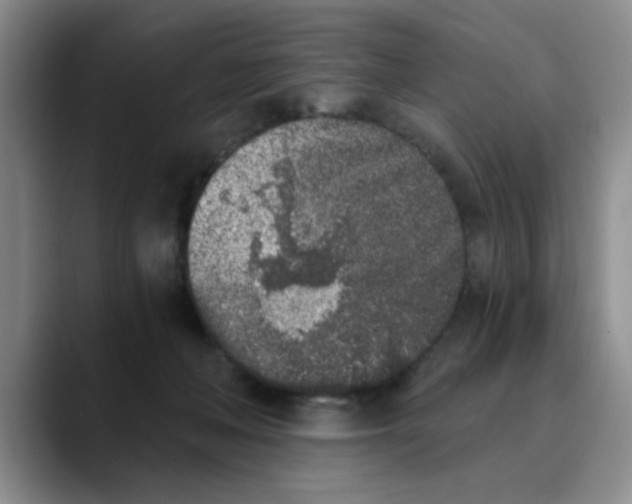 X0000089830222200707191832