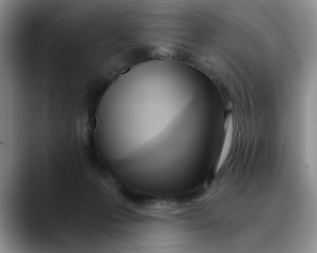 X0000089830223200707191832