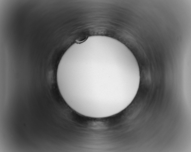 X0000089830224200707191832