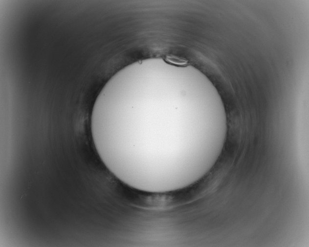 X0000089830225200707191832