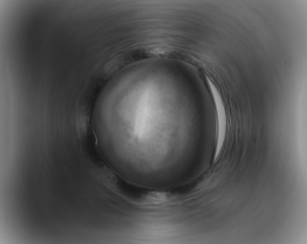 X0000089830227200707191832