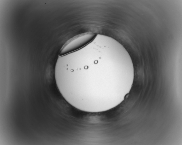 X0000089830228200707191832