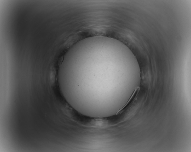 X0000089830231200707191831