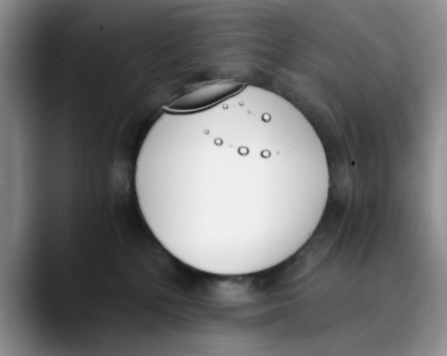 X0000089830232200707191831