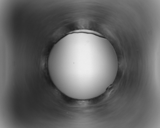 X0000089830233200707191831