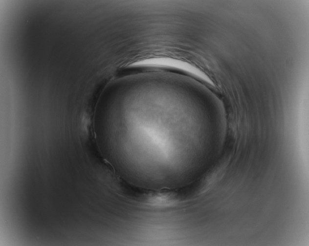 X0000089830235200707191831