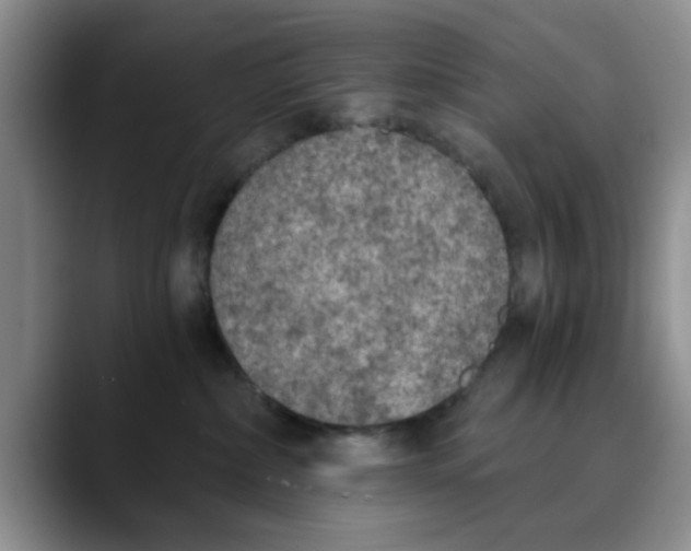 X0000089830236200707191831