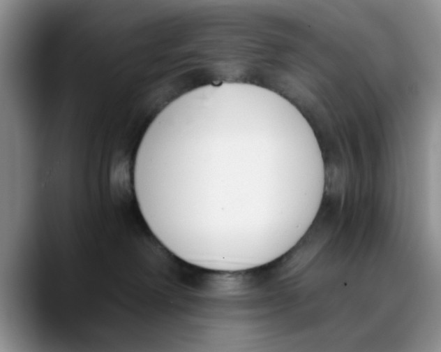 X0000089830238200707191831