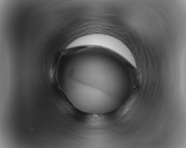 X0000089830239200707191831