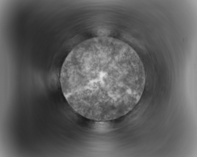 X0000089830240200707191831