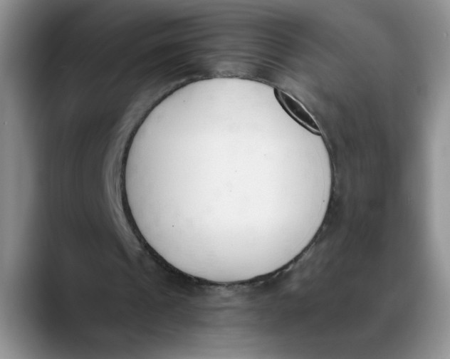 X0000089830241200707191831